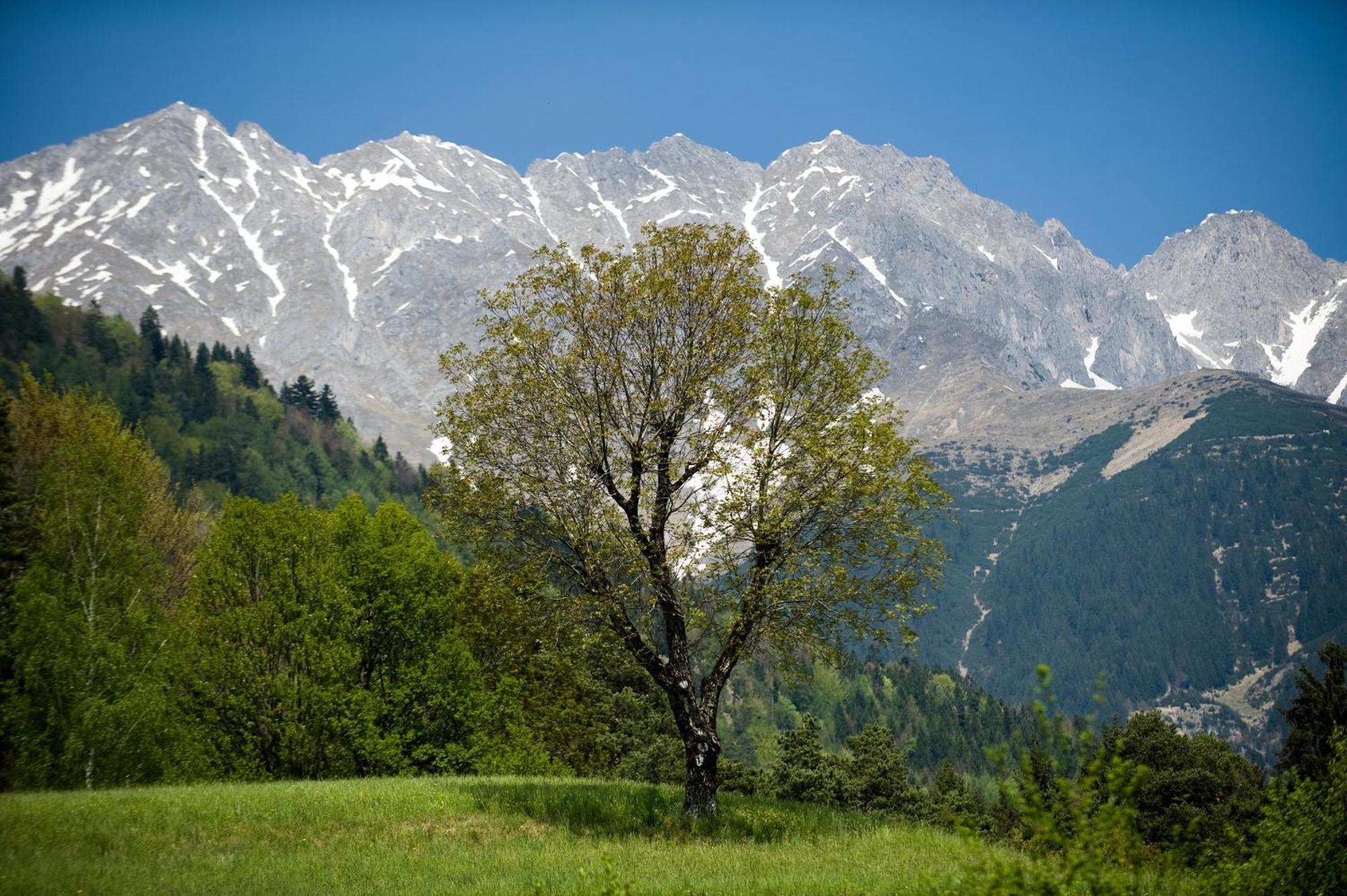 Kasperhof Apartments Innsbruck Top 6 - 7 エクステリア 写真