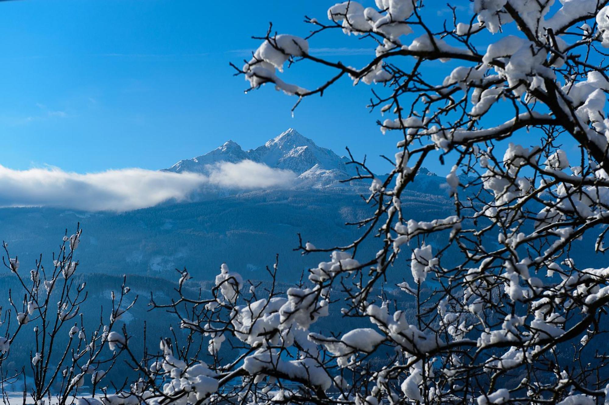 Kasperhof Apartments Innsbruck Top 6 - 7 エクステリア 写真