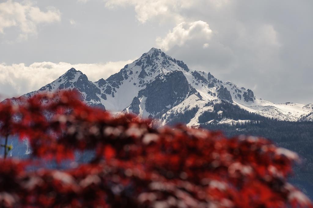 Kasperhof Apartments Innsbruck Top 6 - 7 エクステリア 写真